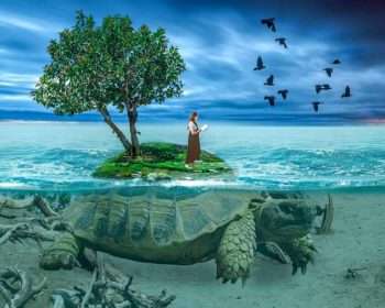 Frau liest Gratis Bücher auf Insel, getragen von Schildkröte. Vögel fliegen. Video-Links inklusive.