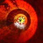 Buch-Tipp! „Seeing Red“ zum Bewusstsein, von Nicholas Humphrey