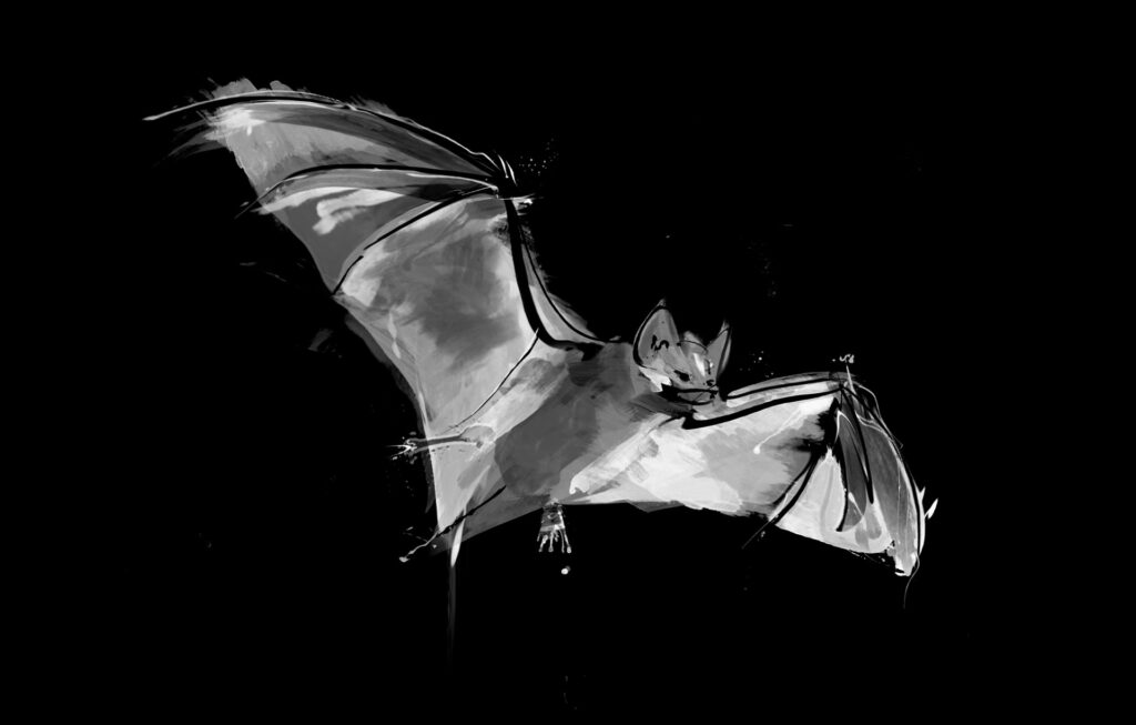 Illustration einer Fledermaus als Krafttier, lautloser Hüter der Nacht im Flug vor schwarzem Hintergrund.